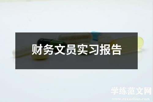 财务文员实习报告