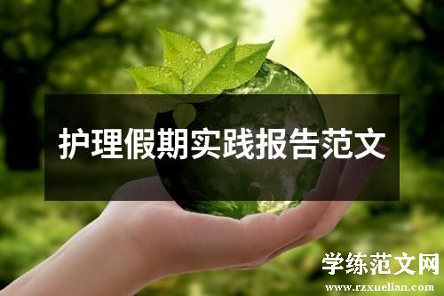 护理假期实践报告范文