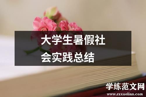 大学生暑假社会实践总结