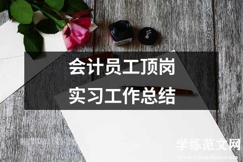 会计员工顶岗实习工作总结