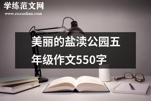 美丽的盐渎公园五年级作文550字