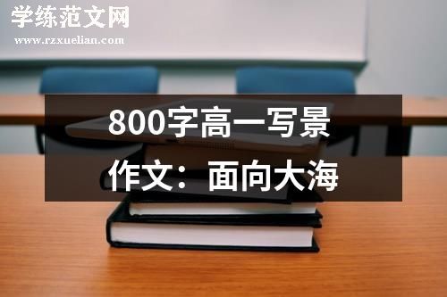 800字高一写景作文：面向大海