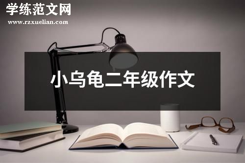 小乌龟二年级作文