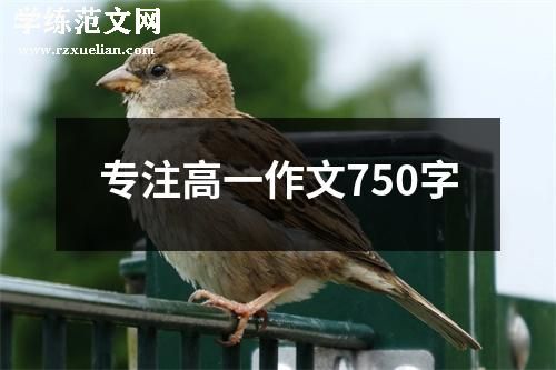 专注高一作文750字