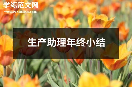 生产助理年终小结