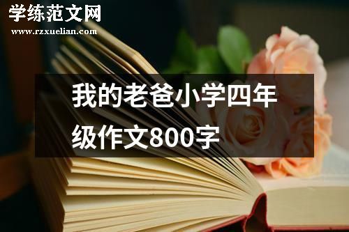 我的老爸小学四年级作文800字