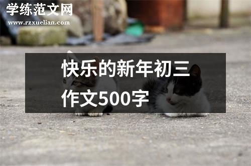 快乐的新年初三作文500字