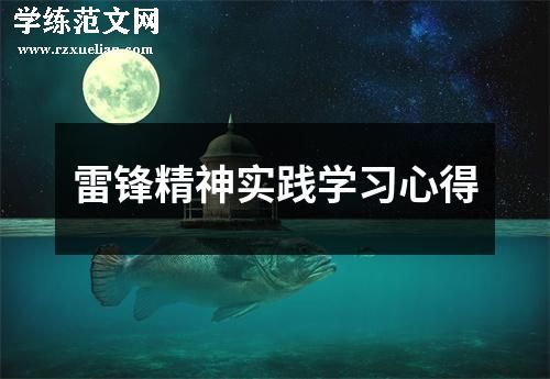 雷锋精神实践学习心得