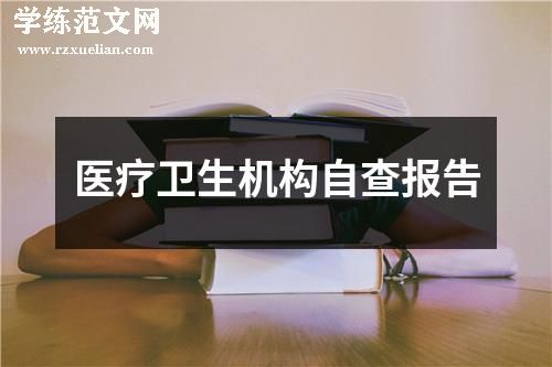 医疗卫生机构自查报告