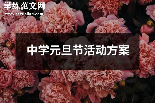 中学元旦节活动方案