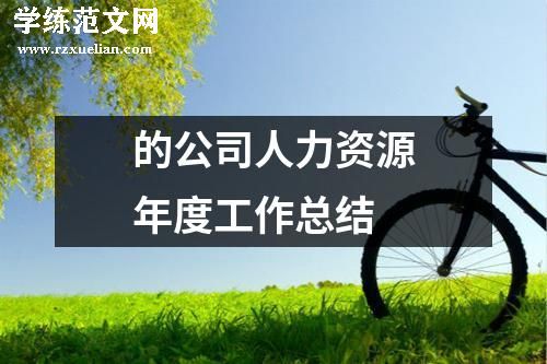 的公司人力资源年度工作总结