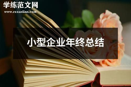 小型企业年终总结