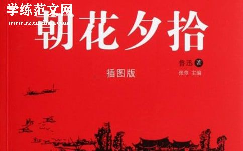 《朝花夕拾》读后感【800字】