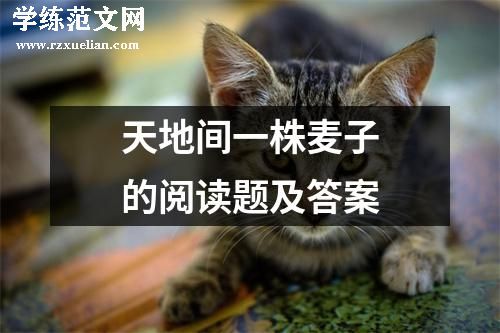 天地间一株麦子的阅读题及答案