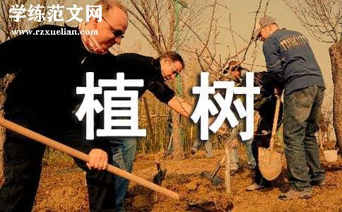 《植树问题》教学设计