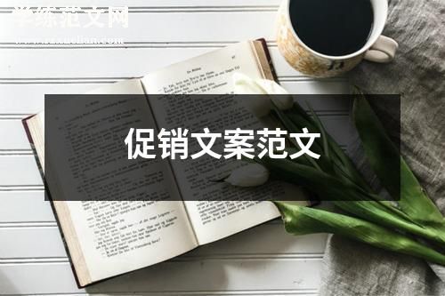 促销文案范文