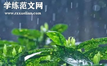 雨来读后感300字优秀5篇