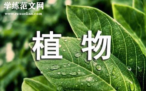 《植物的根》教学反思