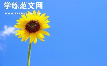 525心理活动总结参考8篇