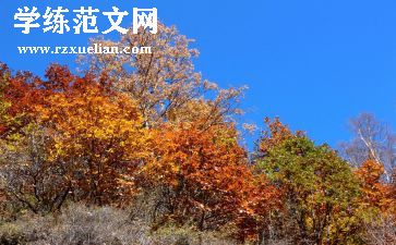 中秋节主题活动方案通用7篇