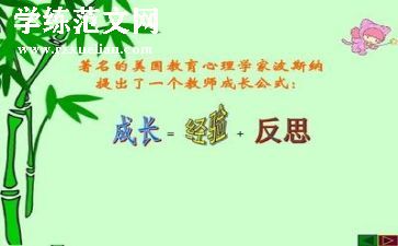 工作总结个人反思7篇