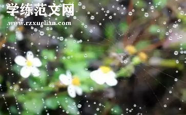 春雨的色彩大班语言教案8篇