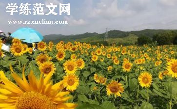 中班美术《窗花》教案6篇