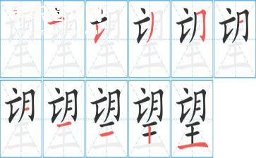 关于望的作文800字通用5篇